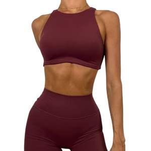 Sujetador Deportivo para Mujer, a Prueba de Impactos, con Relleno Fijo, para Gimnasio, Yoga, Running, Entrenamiento, Sin Costuras, Venta al Por Mayor - Product Image 1