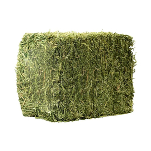 หญ้าอัลฟัลฟ่าเกรดพรีเมียมสำหรับอาหารม้า มีจำหน่ายขายส่งในปริมาณมาก - Product Image 6