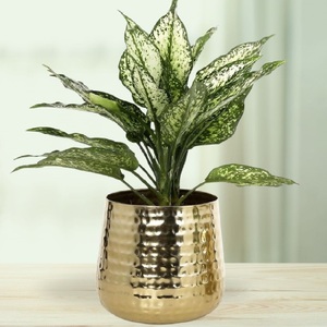 Premium Elegant Handcrafted Modern Wedding Metal Flower Pot Creative Eco-Friendly Finish Home Decor Tabletop <b>Vase</b> - Product Image 6