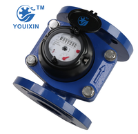 Compteur d'eau à turbine YOUIXIN ISO4064 IP68 40mm 50mm 65mm Woltman Classe B Corps en fer industriel OEM à bride Garantie 1 an