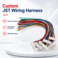 Arnés de Cableado JST Personalizado, Conjunto de Cables con Conector Multipin, Cable Codificado por Colores para Equipos Electrónicos, Suministro OEM ODM