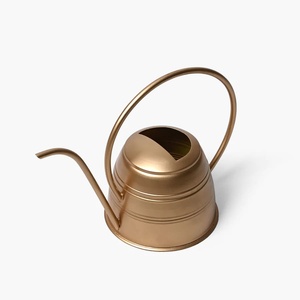 Arrosoir de luxe en métal doré pour plantes d'intérieur et d'extérieur, support de pot de fleurs, arrosoirs anti-fuite - Product Image 5