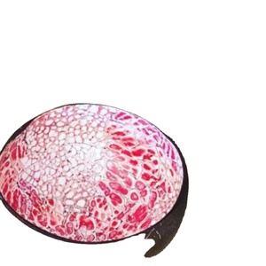 Vietnamese Style Creative Eggshell <b>Coconut</b> <b>Bowl</b> Inlay Lacquered Household <b>Bowls</b> Natural Eco Friendly <b>Coconut</b> <b>Bowl</b> - Product Image 5
