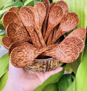 Cuchara de Madera de Coco de Fábrica Vietnamita para Cocinar y Servir, Utensilio de Cocina para el Hogar y Suministro para Restaurantes - Product Image 1