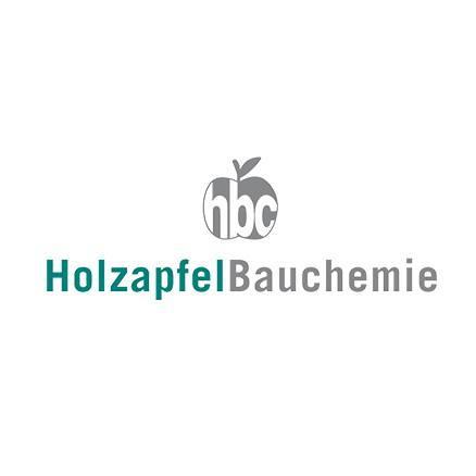 Holzapfel GmbH & Co KG logo
