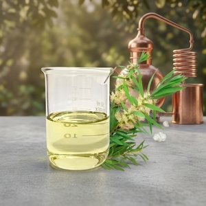 Huile essentielle de Cajeput 100% pure, distillée à la vapeur, fraîche et aromatique, d'origine indonésienne, fournie par Aroma Atsiri Indonesia. - Product Image 6