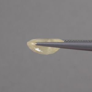 Saphir Jaune Naturel Non Monté 12x10mm Coupe Coussin 6,57 Carats Certifié IGI Changeant de Couleur Enceré/Huileé Grade AAA pour Bijoux - Product Image 2