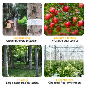 Piège à insectes collant solide <span class=keywords><strong>anti</strong></span>-insectes <span class=keywords><strong>pour</strong></span> l'extérieur, ruban adhésif <span class=keywords><strong>pour</strong></span> la protection des arbres, écologique, pièges à colle <span class=keywords><strong>pour</strong></span> protéger les arbres - Product Image 6