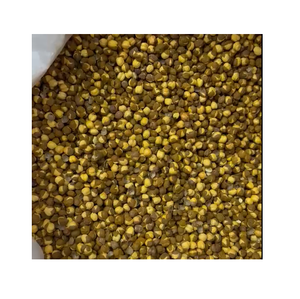 Chana Séché et Torréfié de Haute Qualité avec Peau, Emballage en Vrac, Goût Premium, Choix Sain, Prix Bas - Product Image 1