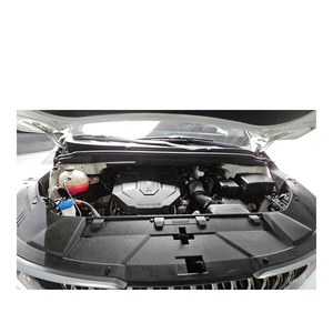 Kia Carnival 2021 de 9 Plazas, Noblesse Euro V, Diésel, Automático, Asientos de Cuero - Product Image 6