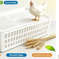 Caisse de transport empilable haute résistance pour volailles, en plastique, pour poulets, canards, oies, lapins, cage de manutention pour équipement agricole en gros