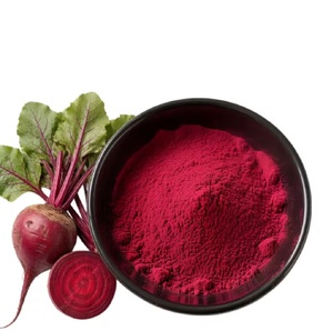 Poudre de Betterave Rouge 100% Naturelle de Qualité Supérieure, Meilleure Vente, Qualité Alimentaire, Fabrication OEM ODM, Vente en Gros, Qualité Export - Product Image 5