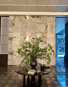 Dalle <span class=keywords><strong>de</strong></span> marbre <span class=keywords><strong>de</strong></span> luxe rétroéclairée en renard des neiges naturel pour projets hôteliers 5 étoiles, développeurs immobiliers, architectes, revêtements <span class=keywords><strong>de</strong></span> design intérieur - Product Image 3