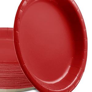 Platos Desechables Resistentes, Fabricación en Pakistán, Venta al Por Mayor OEM/ODM, Vajilla Ligera con Impresión Personalizada - Product Image 5