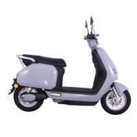 Moto électrique vintage pour trajets urbains, scooter électrique 1000W à moteur brushless et frein à disque, carrosserie courbée, pour le Brésil