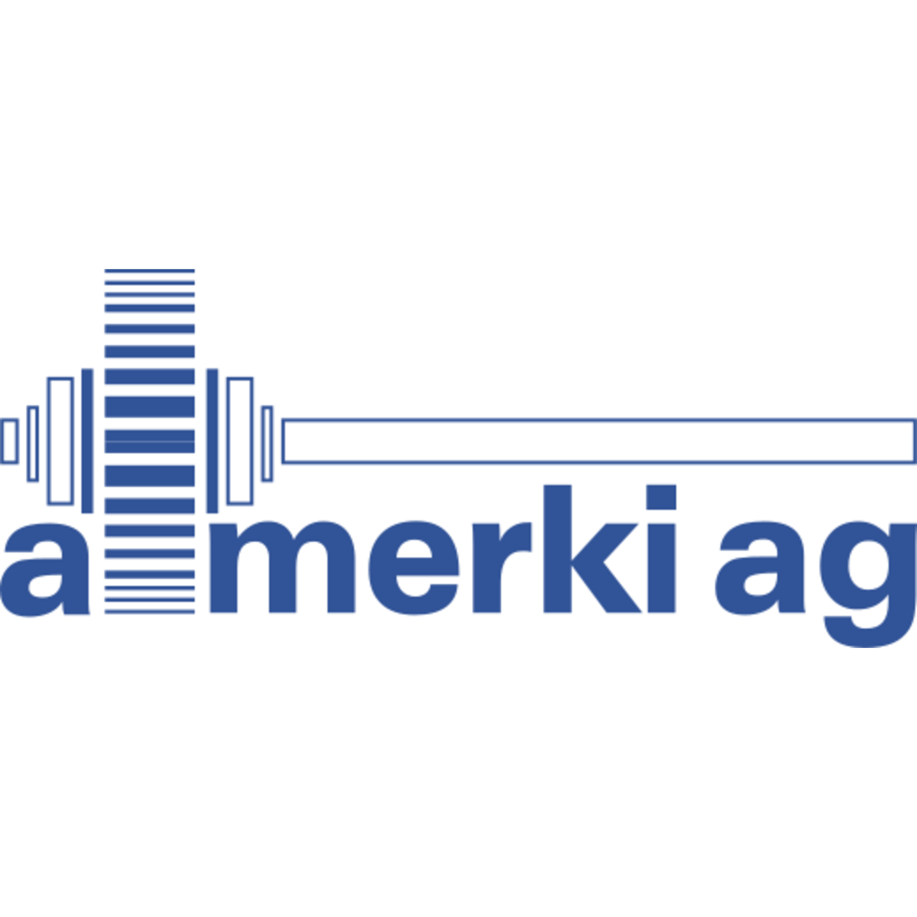 A. Merki AG logo