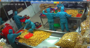 2025 Saison Chips de Jacquier Séchées Collations Croquantes Croustillantes VF Processus de séchage Sans OGM Sans Sucre Haute Qualité Végétalien - Product Image 4