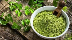 Poudre de Moringa Biologique de Haute Qualité 99% Pure, Séchée par Pulvérisation et Lyophilisation pour Thés et Boissons aux Herbes, Approvisionnement en Vrac 10kg, Marque Viet Delta - Product Image 4