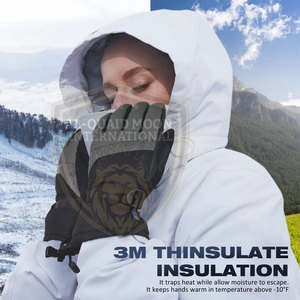 Gants de ski durables les plus vendus, logo et couleur personnalisés, gants de ski au style unique - Product Image 2