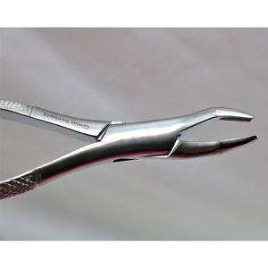 ODM OEM 2026 Pinces d'extraction dentaire allemandes robustes de qualité supérieure, instruments de qualité A+, vente en gros d'usine - Product Image 5