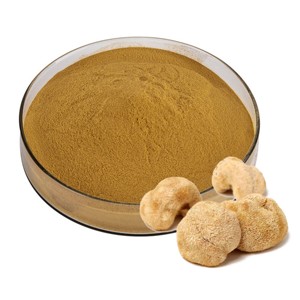 Extracto de Melena de León Más Vendido, 50% Puro, Rico en Beta Glucanos para la Salud Cerebral y Mejora del Enfoque - Product Image 3