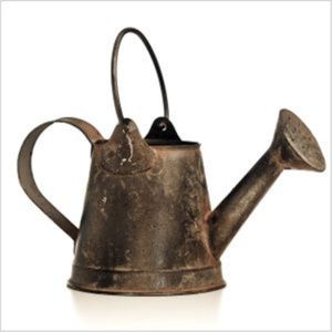 Wholesale Retro Iron Watering Can Farmhouse Antique Style <b>Metal</b> Garden Sprinkler Pot Heavy Duty Long Spout Plant Watering Pot - Product Image 1