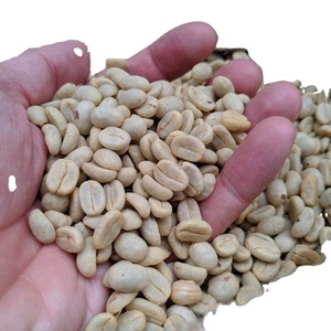 [Produit phare] Grains de café vert Arabica S16 du Vietnam, Grade A, naturel, sans allergènes, sac PP de 60 kg, vente en gros pour torréfaction en vrac - Product Image 1