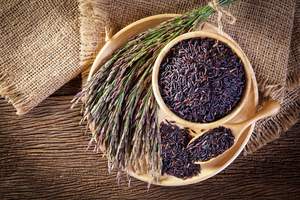 Riz blanc de jasmin exclusif, riz brisé, riz à sushi séché, vente sur le marché du Moyen-Orient et de l'Europe, du groupe Vilaconic / M. Brian - Product Image 3