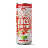 Boisson au cola Rita Date, extrait naturel de dattes, boisson gazeuse, boisson pétillante, canette de 330 ml, vente en gros, OEM, ODM