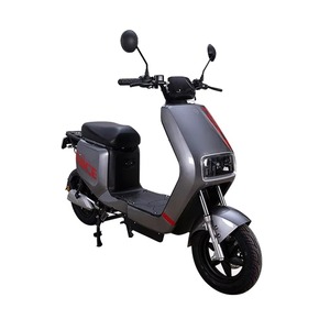Motocicleta Eléctrica de 800W, Scooter Eléctrico de Largo Alcance, Bicicleta Eléctrica para Adultos, Venta Caliente 2023 - Product Image 3
