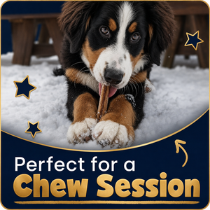 OEM ODM Palitos de Carne Natural para Perros, Masticables Dentales de Larga Duración y Alto Contenido Proteico para Todas las Razas y Tamaños, Fabricante de Marca Privada - Product Image 6