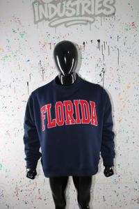 Florida Customized Color <b>Men</b> Hoodie 100% Cotton Applique Embroidery Wide Neck Vintage Winter Finer Threads - Product Image 2