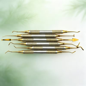Kit d'instruments dentaires 6 pièces en acier inoxydable, outils de restauration à poignée moletée, instruments chirurgicaux manuels de classe I, 23 cm - Product Image 4