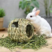 Tunnel à mâcher écologique en jonc de mer, durable et couinant, pour petits animaux, 17 cm, cachette pour hamsters, lapins, cochons d'Inde, oiseaux