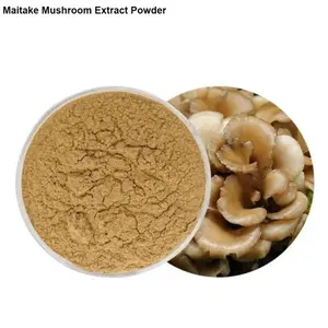 Poudre de champignons Maitake en vrac, pure et séchée, pour compléments alimentaires, capsules et ingrédients alimentaires fonctionnels - Product Image 2