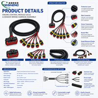 Kit de faisceau de câblage personnalisé pour BMS automobile, faisceau de câblage pour capteurs ECU ECM
