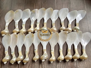Takimex Vietnam Cuillère en nacre de haute qualité et bon marché Cuillère en nacre naturelle pour la dégustation de caviar - Product Image 5