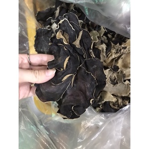 เห็ดหูแห้งคุณภาพพรีเมี่ยม | ขายส่งส่งออกจากเวียดนาม - Product Image 3