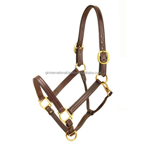 Cabestro de cuero genuino acolchado, cómodo y duradero, y productos ecuestres para carreras a bajo precio. - Product Image 2