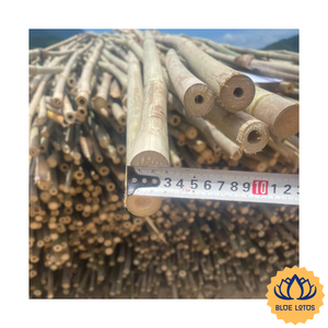 [HOT SELLING] | Durable Bamboo <b>Pole</b> Wholesale Material <b>for</b> Outer Fencing and Structural Support from Vietnam - Product Image 1