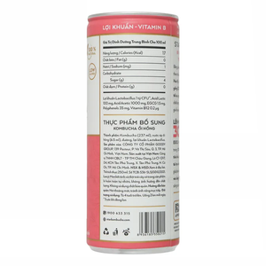 Wholesale Pink Guava Kombucha Drink 250ml Star Kombucha Brand Fermented Tea <b>Beverage</b> Competitive Price Export - Product Image 2