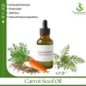 Premium Quality <b>Carrot</b> Seed <b>Oil</b> Distributor Supplying Bulk Essential <b>Oil</b> for Cosmetic Brands Personal Care Manufacturers - Product Image 1