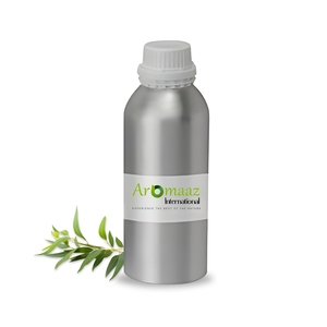 น้ำมันหอมระเหยยูคาลิปตัสบริสุทธิ์ 100% จาก Aromaaz International กลั่นด้วยไอน้ำ กลิ่นหอมสดชื่น สำหรับผู้ชาย ผู้หญิง ใช้ในอโรมาเธอราพี ราคาขายส่ง - Product Image 2