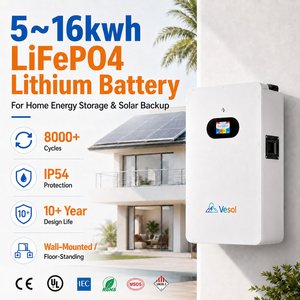 Batterie solaire LiFePO4 murale 5kWh 10kWh 15kWh 16kWh 5kW 51.2V 100Ah 200Ah 300Ah 314Ah Lithium-ion pour une meilleure énergie domestique - Product Image 1