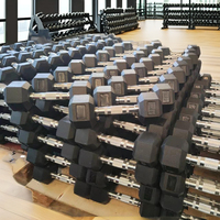 Haltères hexagonaux en fonte pour gymnastique à domicile pour les exercices de fitness corporel
