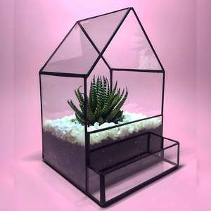 Nouveau design de terrarium en verre cristal, récipient de présentation pour plantes succulentes, mousse ou plantes aériennes, conteneur artistique transparent pour la décoration intérieure - Product Image 2