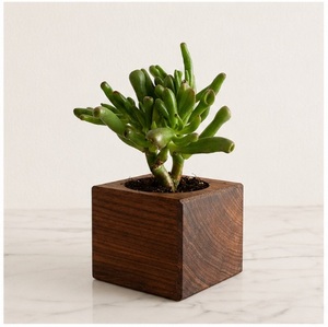Jardinera Cuadrada de Madera Maciza Hecha a Mano para Suculentas y Hierbas de Interior, Maceta Ecológica de Nogal Negro para Escritorio y Hogar - Product Image 1