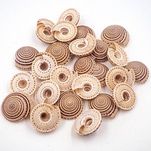 Décoration de plage en coquillages marins et coquillages marins naturels de qualité supérieure, coquillages nettoyés - Product Image 2