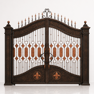 Puertas Dobles de Hierro Forjado de Lujo para Exteriores, Forjadas a Mano, Antirrobo, para Entrada de Patio, Puerta Decorativa Retro de KHP Vietnam - Product Image 1