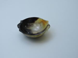 Cuenco decorativo de cuerno de búfalo auténtico de diseño personalizado, cuenco para servir, cuenco de cuerno para ensalada a un precio muy razonable - Product Image 6